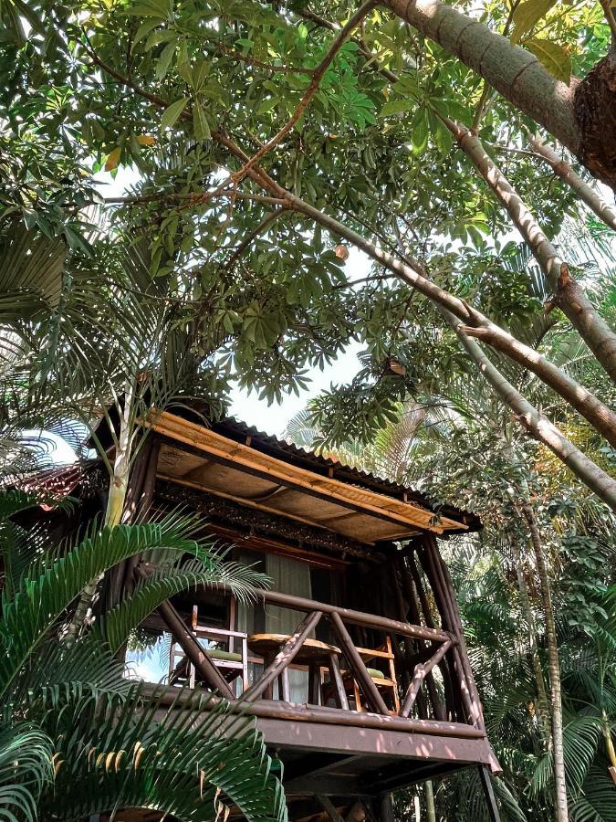Villa Jardin Secreto Centro Holistico Acapulco Exterior foto